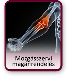 Mozgásszervi vizsgálat